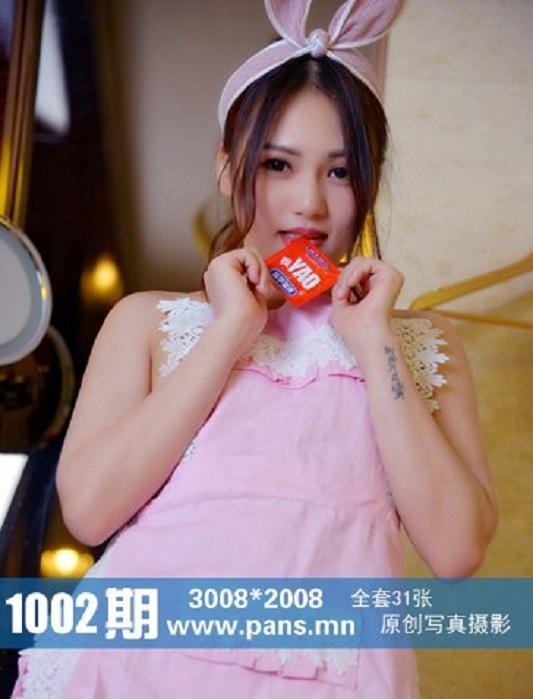 PANS100200